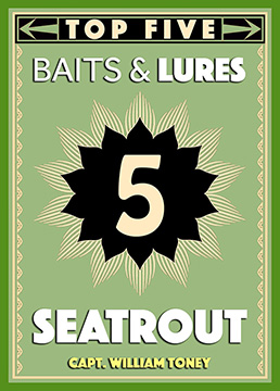 Top 5 Seatrout Baits & Lures