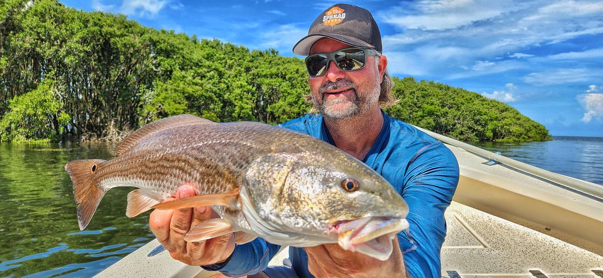 Redfish