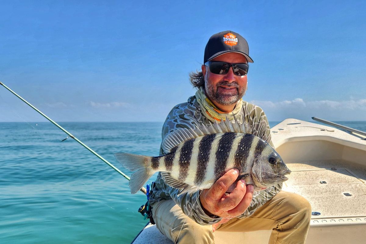 Sheepshead