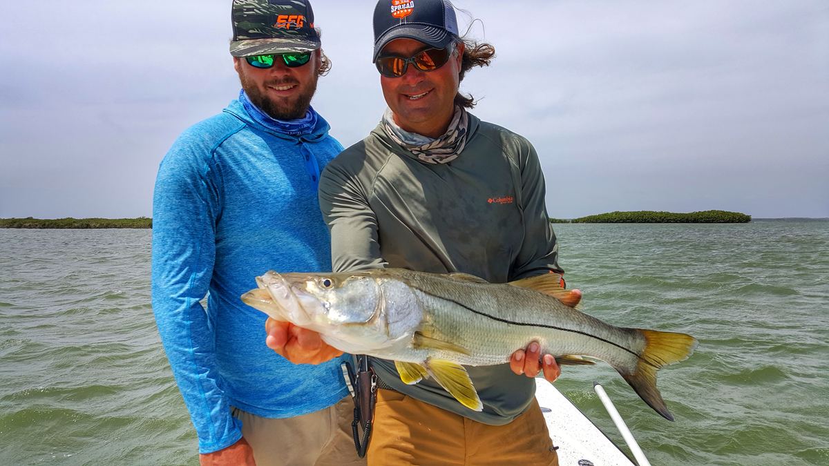 Snook
