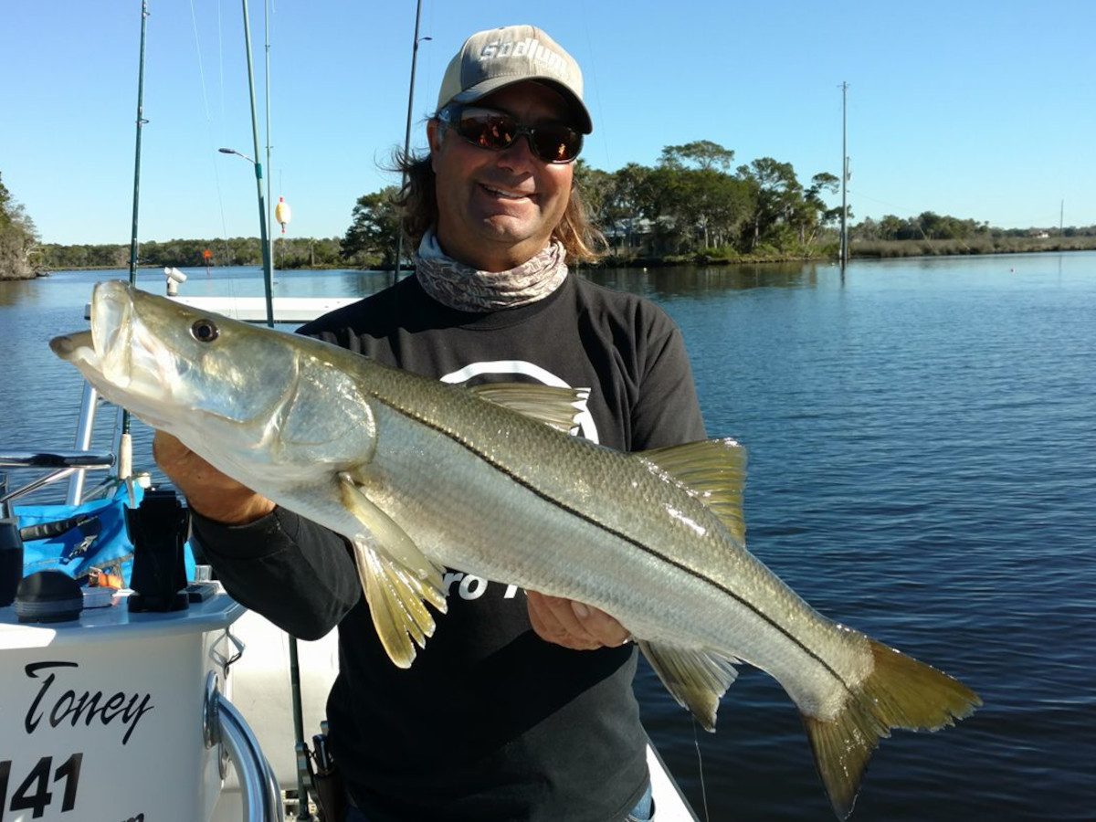 Snook Fishing in Homosassa: Tactics, Tides, and What to Expect in the Backcountry